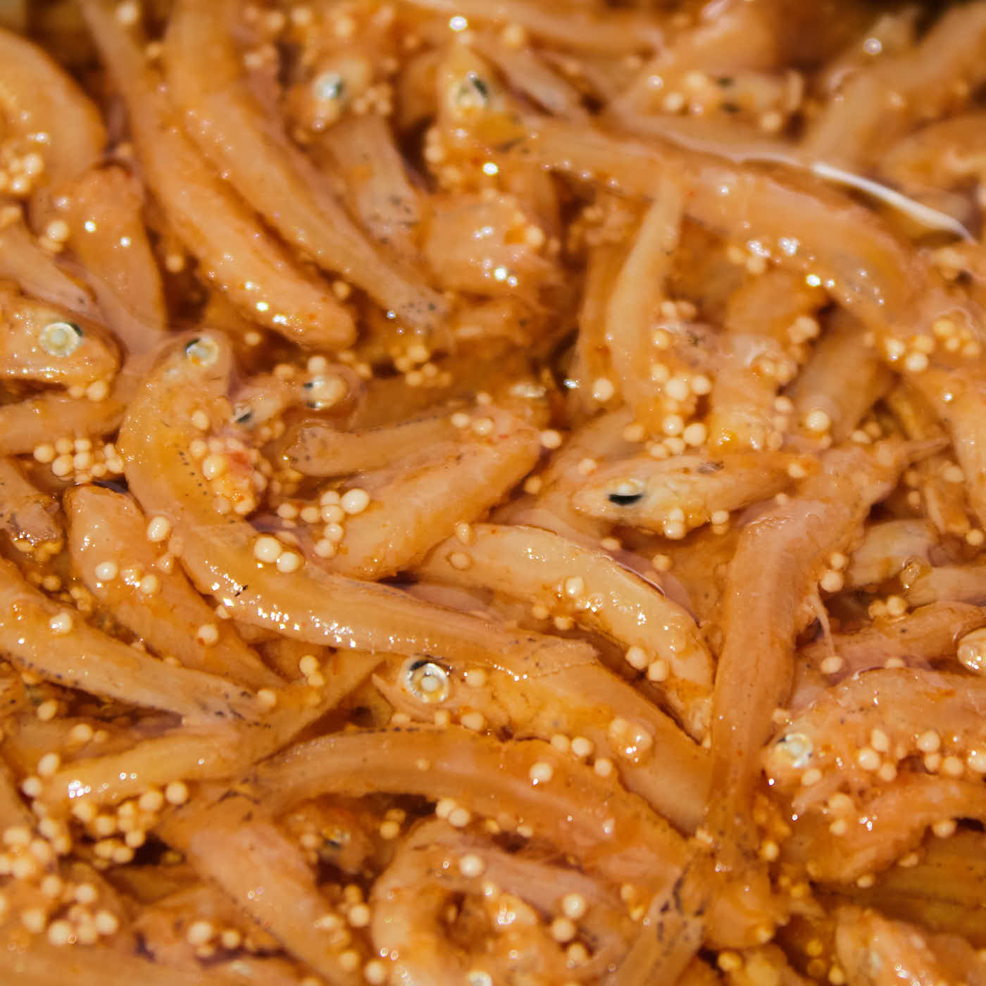 Bokksu Tinned Shirasu Anchovies with Cod Roe - Image 5